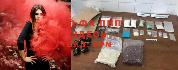 PSILOCYBIN Алзамай