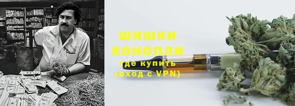 PSILOCYBIN Алзамай