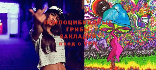 PSILOCYBIN Алзамай