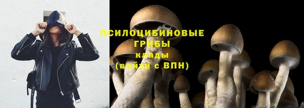 PSILOCYBIN Алзамай