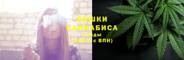 хмурый Михайловск