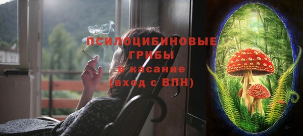 PSILOCYBIN Алзамай