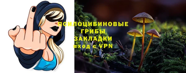 PSILOCYBIN Алзамай